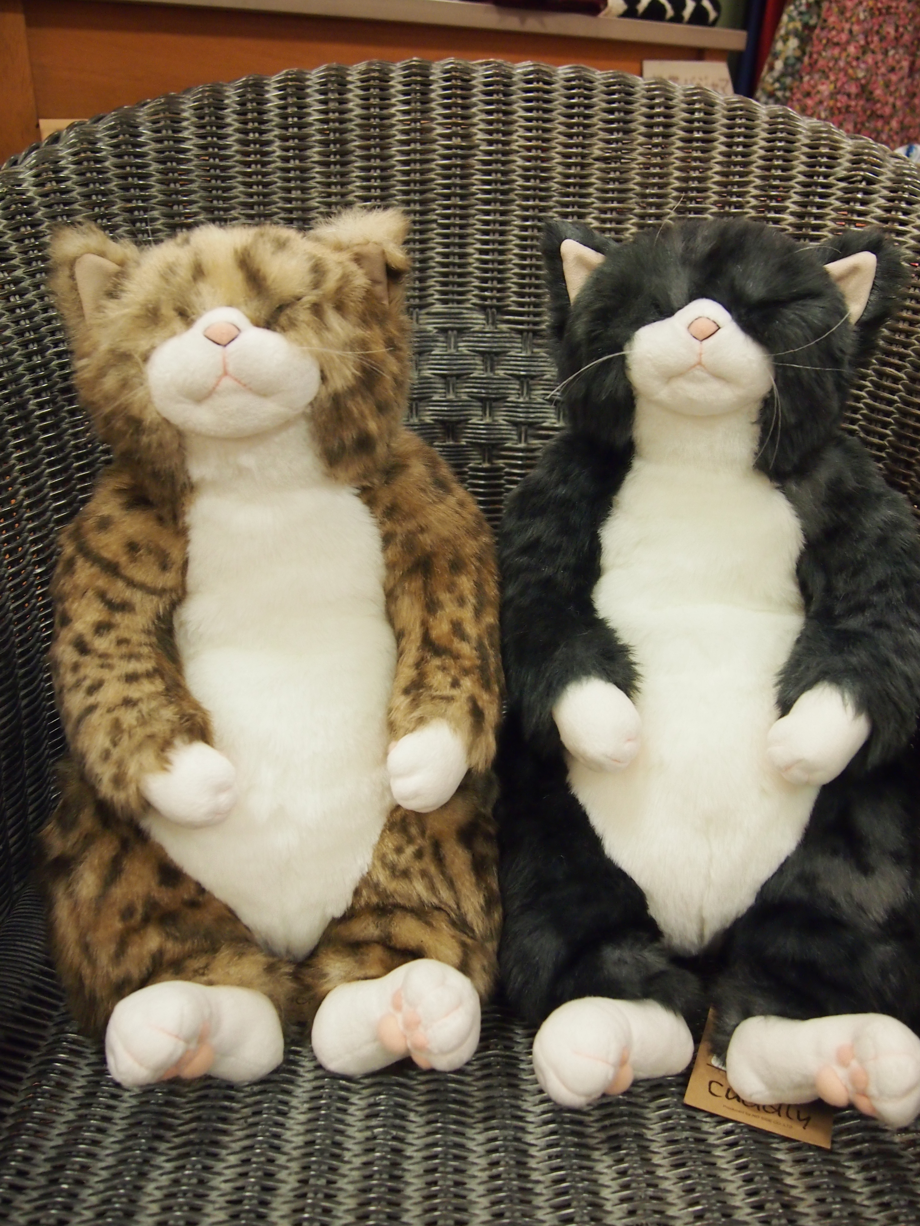 超激安特価 猫 等身大 ぬいぐるみオーダー ecousarecycling.com
